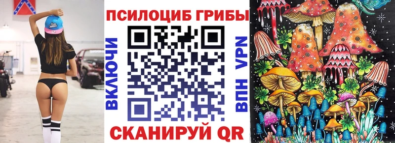 Псилоцибиновые грибы Psilocybine cubensis  хочу наркоту  Остров 